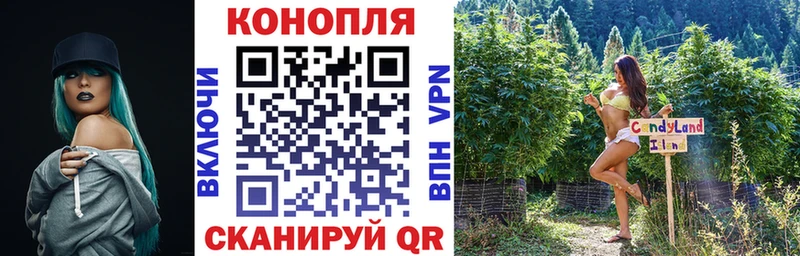 Где продают наркотики Балаково Метадон  Бошки Шишки  Cocaine  Амфетамин  Меф  Гашиш 