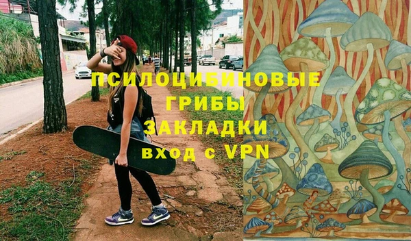 спиды Володарск