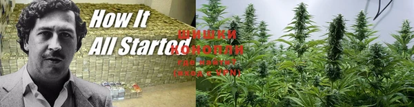 спиды Володарск