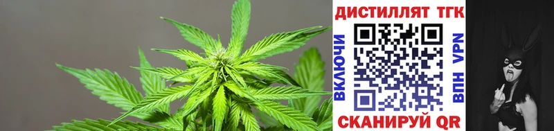 купить  сайты  нарко площадка Telegram  Дистиллят ТГК THC oil  Балаково 